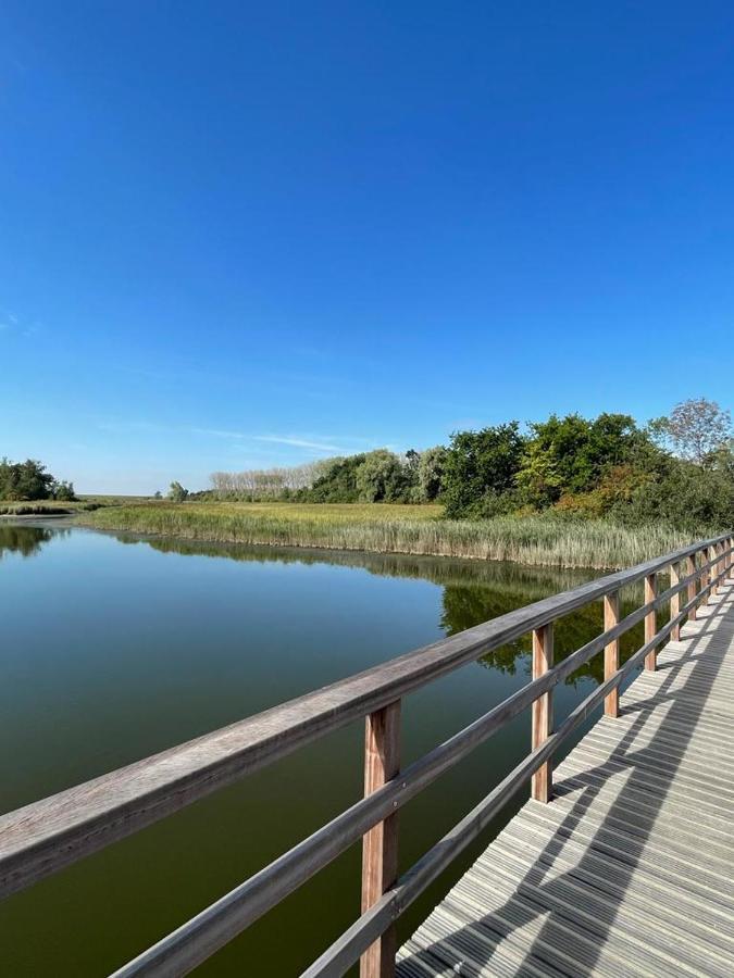 Oosterschelde Lodge Met Veel Privacy En Dicht Bij Het Water Scherpenisse Esterno foto