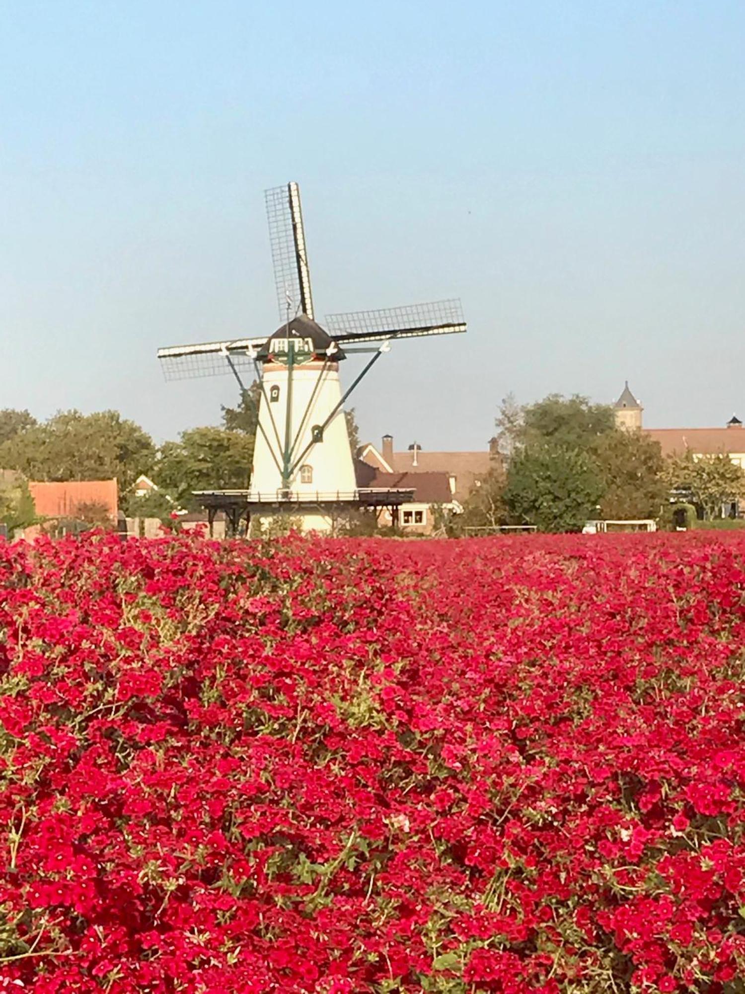 Oosterschelde Lodge Met Veel Privacy En Dicht Bij Het Water Scherpenisse Esterno foto